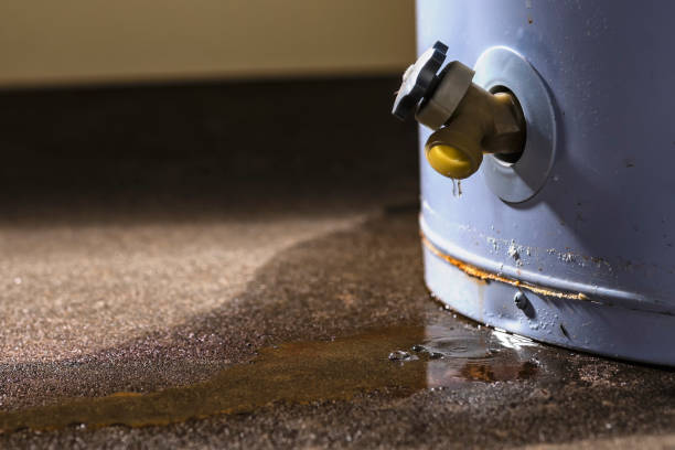 Best Residential water damage restoration  in Williamstown, PA