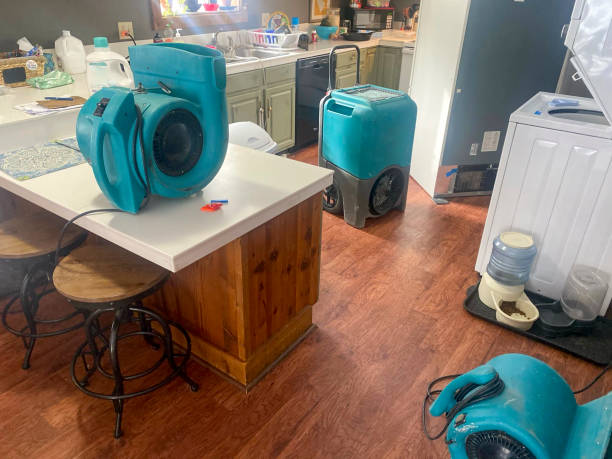 Best Basement water damage restoration  in Williamstown, PA