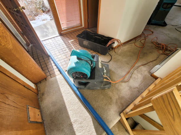 Best Local water damage restoration  in Williamstown, PA