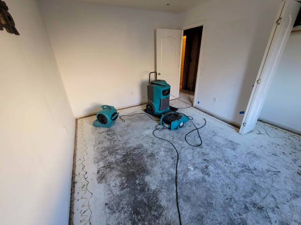 Best Emergency water damage restoration  in Williamstown, PA