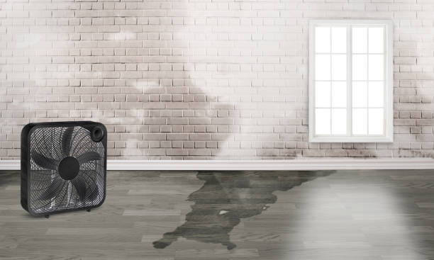 Best 24-hour water damage restoration  in Williamstown, PA