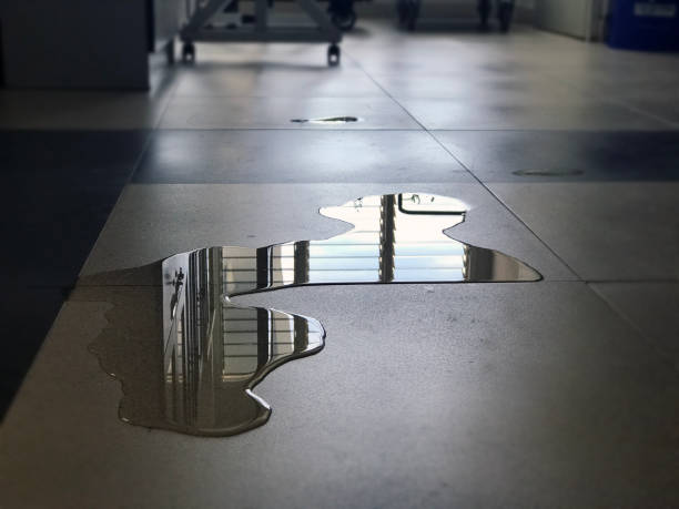 24/7 water damage repair in Williamstown, PA