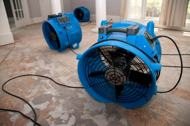 Best Water damage restoration near me  in Williamstown, PA