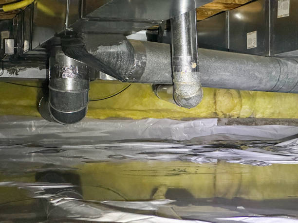 Best Water damage restoration near me  in Williamstown, PA