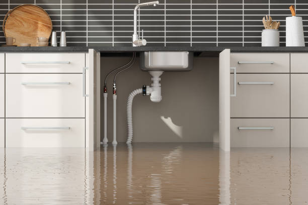 Best Fire Damage Restoration  in Williamstown, PA