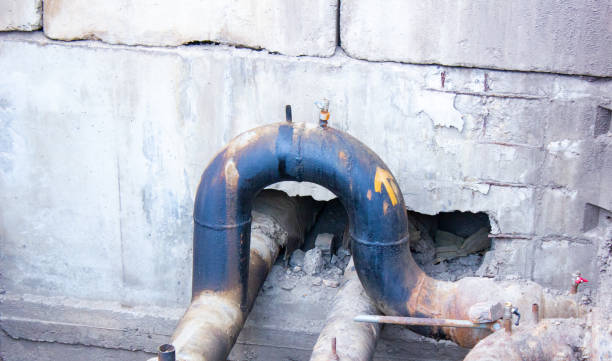 Best Sewage cleanup and water damage restoration  in Williamstown, PA