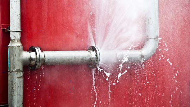 Best Water damage cleanup near me  in Williamstown, PA