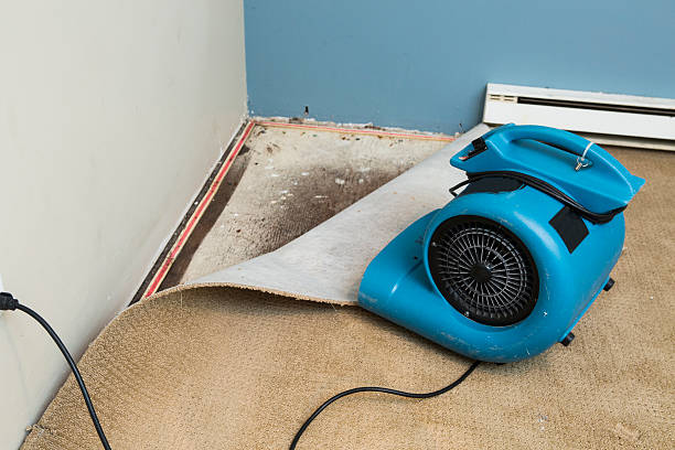 Best 24/7 water damage repair  in Williamstown, PA
